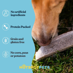 Hotspot Pets astas de ciervo premium para perros grandes.
