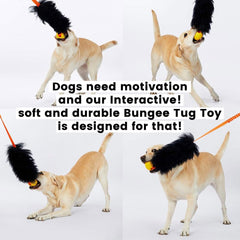 HOWGO Juguete bungee de oveja, ideal para liberar energía durante el juego.