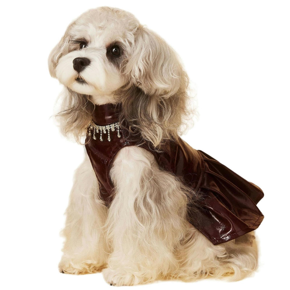 HQREA cazadora para perro en piel PU de alta calidad, ideal para climas fríos.