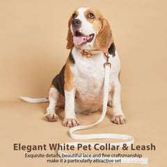 HQREA conjunto collar y correa beige, estilo elegante para paseos.