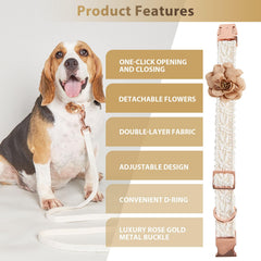 HQREA tallas ajustables collar perro, medir para un ajuste seguro.