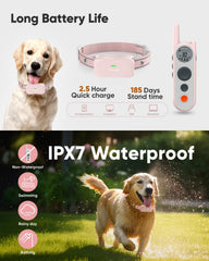 Htcuto: collar impermeable IPX7 para perro en lluvia o playa.