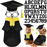 Conjunto Huhumy vestido negro con lazo amarillo, ideal para fotos de graduación de mascotas.