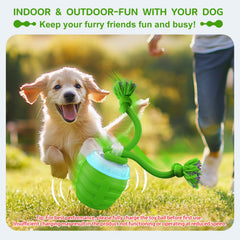 Huimpet bola interactiva para perro, modo lento, promueve exploración suave.