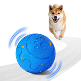 Huimpet bola interactiva para perros, movimiento y diversión en exteriores