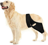 La rodillera Huimpet para perros ofrece soporte frontal para la rodilla.