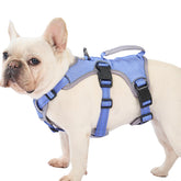 Huntboo arnés a prueba de escape azul muestra ajuste cómodo para paseos diarios.