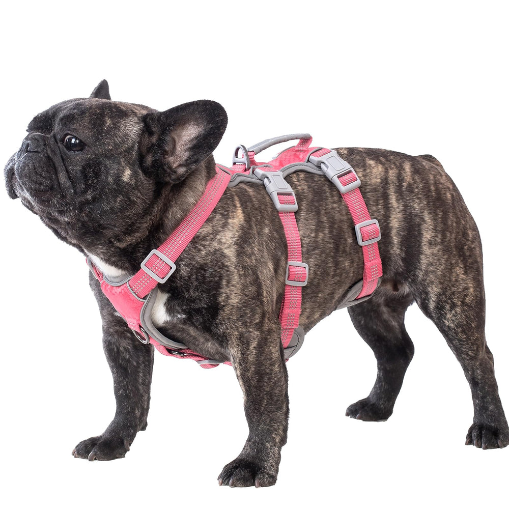 Huntboo arnés para perro a prueba de fuga para caminatas seguras