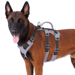 Huntboo arnés para perros con asa acolchada, control cómodo en paseos nocturnos.