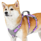 Arnés Huntboo reflectante con manija acolchada, ideal para paseos nocturnos seguros.
