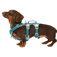 Huntboo arnés azul verdoso XS, vista frontal, ajuste cómodo para paseos seguros.