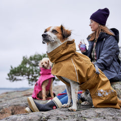 Hurtta Monsoon Coat ECO, detalle del collar impermeable que protege cuello.