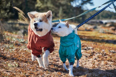 Hurtta Mudventure ECO Mono para Perro, lateral: ajuste cómodo gracias a la cuerda elástica.