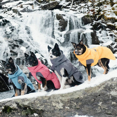 Parka de expedición Hurtta para perro, cuello ajustable, brinda cobertura sin restringir movimiento.