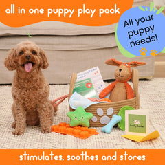 Juguete con sonajero Huxley Barker: peluche duradero para juego suave.