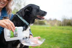 Hyalogic HyaFlex Pro-Complete: apoyo para articulaciones y cartílago en perros mayores.