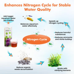 Hygger Bioaclarificador reduce desechos orgánicos para mantenimiento más eficiente