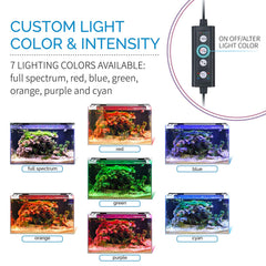 LEDs blancos de hygger 6500K iluminan un acuario con claridad.