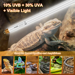 Hygger zoo T5 UVB en-tanque, cobertura uniforme para zonas de basking