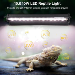 Hygger Zoo UVB Luz 12 pulgadas superior, iluminación estable para reptiles en terrario.