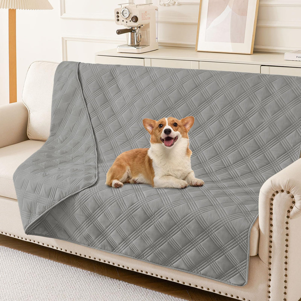 Cobija impermeable hyha para perros en salón, protege el sofá ante manchas y humedad.