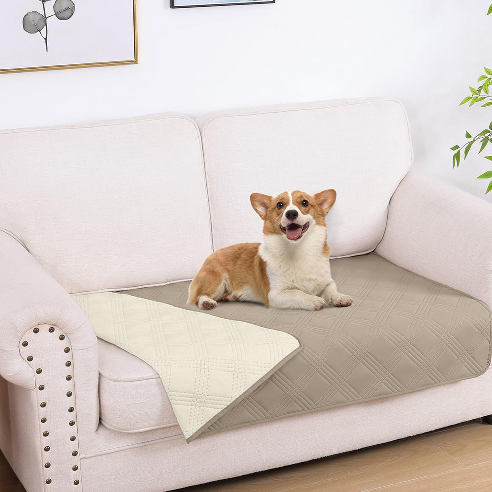 Manta hyha impermeable para perros sobre el sofá protege ante salpicaduras.