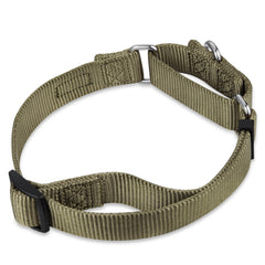 Collar Hyhug Martingale para perro mediano verde nailon duradero para uso diario.
