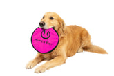 Hyper Pet Flippy Flopper, frisbee interactivo para sesiones de juego al aire libre.