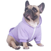ICHOUE sudadera para Bulldog Francés, frente muestra ajuste cómodo y moderno.