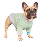 iChoue suéter color block verde gris para perro, estilo moderno y cálido.