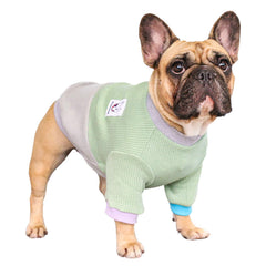 iChoue suéter color block verde gris para perro, estilo moderno y cálido.