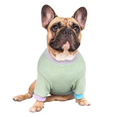iChoue suéter para perros, fácil de poner y quitar gracias a la elasticidad.