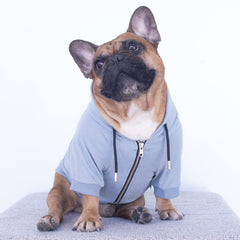 iChoue sudadera con cierre-ykk, cierre suave y duradero para perros