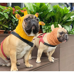 IChoue hoodie calmante para perros, ideal durante el cuidado e higiene para mantener la calma.