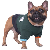 iChoue sudadera para perro con cuello redondo, color bloque verde y negro, ideal para paseos fríos.