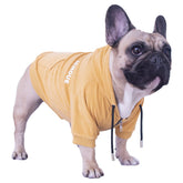 IChoue sudadera con capucha para perros — vista frontal, suave y cómoda.