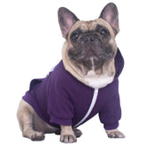 iChoue sudadera para perro francés, vista frontal, ideal para paseos abrigados y con estilo