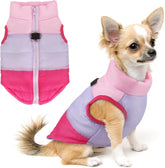 Idepet chaleco para perro con parche multicolor, ideal para fiestas.