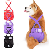 Idepet pañales para perro hembra con tirantes, ajuste seguro durante paseos
