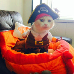 Idepet ropa pirata para mascota, lista para fiestas y momentos especiales.