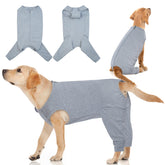 IDOMIK traje recuperación para perro puesto protege piernas traseras y permite movilidad.