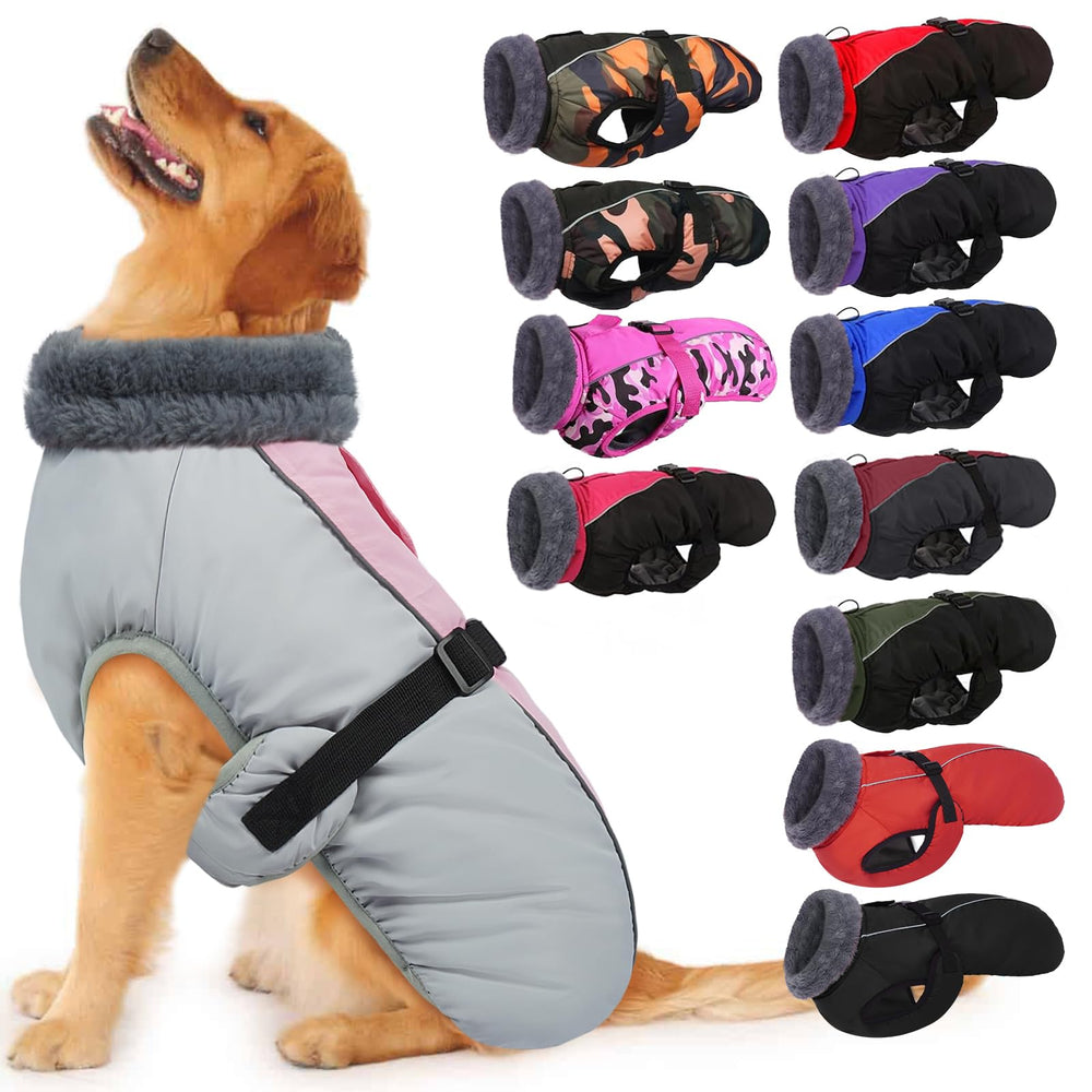 IECOii abrigo para perros XXL - dorso visible y cálido para paseos invernales.