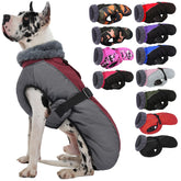 IECOii abrigo para perros 4XL visto de frente con banda reflectante para visibilidad nocturna