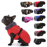 Capa IECOii para perro con hebilla ajustable para un ajuste seguro.