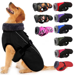 IECOii capa para perro con hebilla para ajuste rápido y seguro.