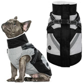 IECOii chaleco para perro con arnés integrado, vista frontal para paseos seguros.