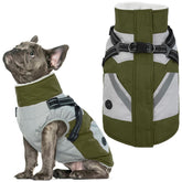 IECOii chaqueta para perro con arnés verde, vista general, protección y comodidad en paseos.