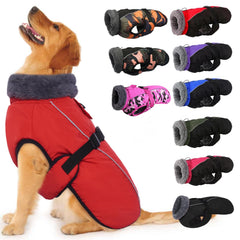 IECOii chaqueta para perro con cierre rápido, fácil de poner y quitar.