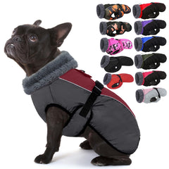 IECOii chaqueta para perros, vista general para paseos de invierno.