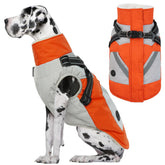 IECOii gran abrigo para perro con arnés integrado, comodidad para paseos diarios.